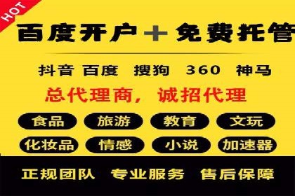 某某SEM服务公司成功案例：提升品牌曝光度